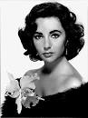 Actress Liz Taylor