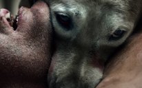 The ABC's Of Death Movie Scene